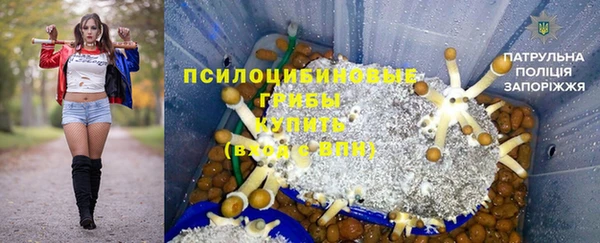 тгк Алексин