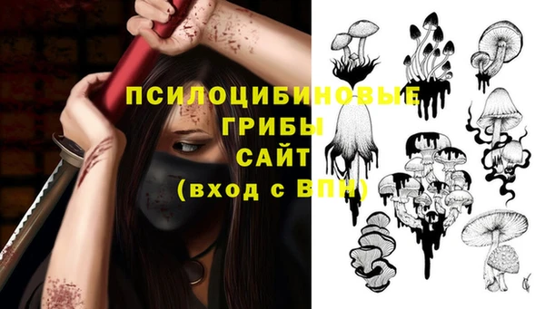 не бодяженный Абаза
