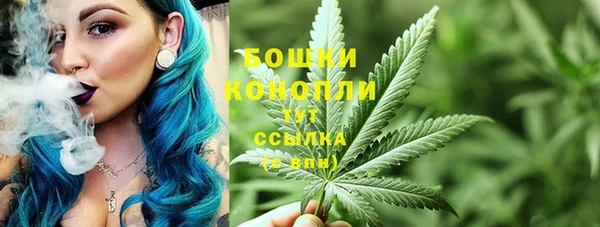 шишки Абдулино
