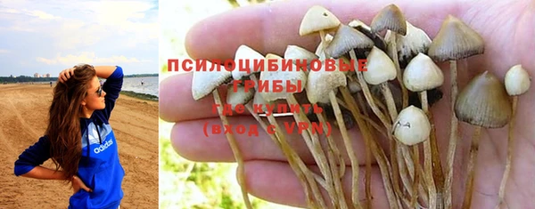 не бодяженный Абаза